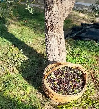 Apartmán Apulia