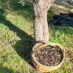 Apartmán Apulia
